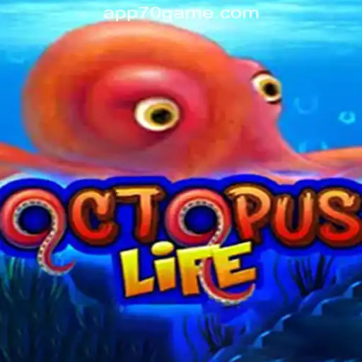 Explore the Fantastic World of OctopusLife